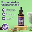 rejuvica-health-zenapin-ir---advanced-mo-2.jpg