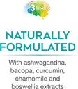 3-brains-by-natural-factors-brain-defens-6.jpg