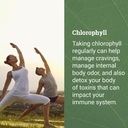 earth-harmony-liquid-chlorophyll-beet-ro-4.jpg
