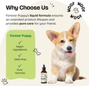 red-reishi-mushroom-tincture-for-dogs----6.jpg