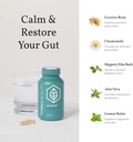 terra-health-essentials---acid-relief-al-5.jpg