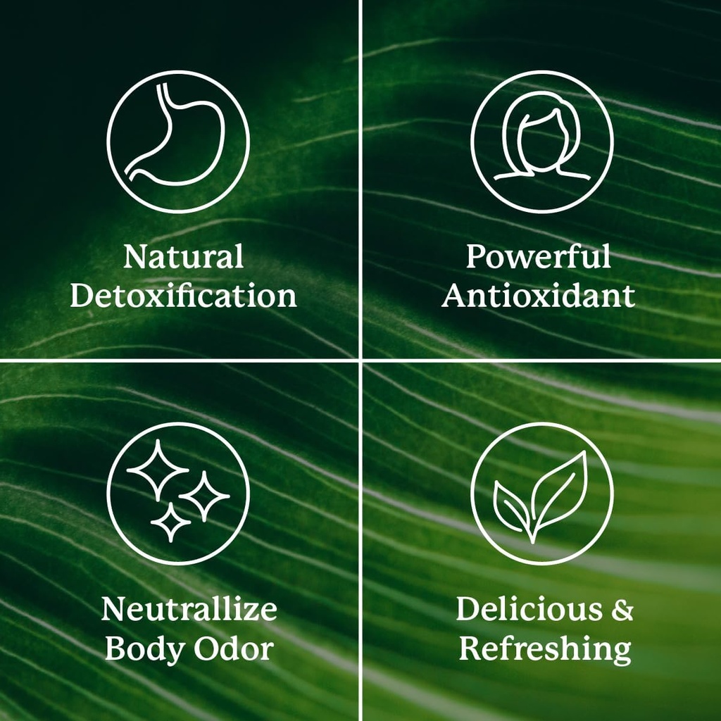 natures-sunshine-chlorophyll-60-softgel--5.jpg
