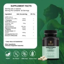 bargad-serotonin-support-supplement-help-6.jpg