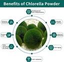 chlorella-powder-natural-with-16-oz---ch-3.jpg