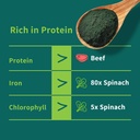 chlorella-powder-natural-with-16-oz---ch-5.jpg