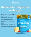 essential-elements-hydration-packets---b-3.jpg