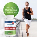 urolithin-a-supplement-1600mg-for-health-6.jpg