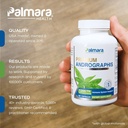 premium-andrographis-paniculata-extract--2.jpg