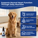 taurine-supplement-for-dogs-liquid-drops-3.jpg