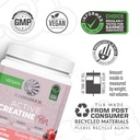 sunwarrior-creatine-for-women-monohydrat-3.jpg
