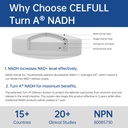 celfull-nadh-supplement-40mg-enchance-nm-3.jpg