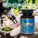 rheubeatplusmarket-proven-herbal-blood-f-4.jpg