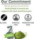 by-yamakan-barley-grass-juice-powder-you-3.jpg