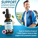 lymphatic-drainage-supplements-candi-cle-4.jpg