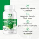 os-organic-side-organic-wheatgrass-capsu-5.jpg