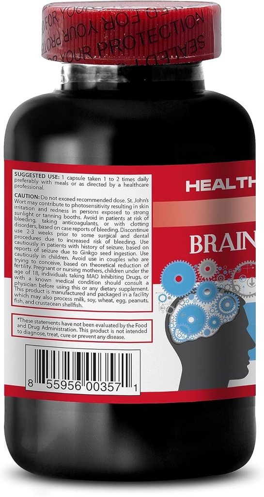 brain-and-memory---brain-and-memory-boos-3.jpg