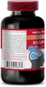 brain-and-memory---brain-and-memory-boos-3.jpg