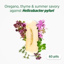 herbelico---wild-oregano-thyme-summer-sa-3.jpg