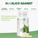 herbelico---wild-oregano-thyme-summer-sa-4.jpg