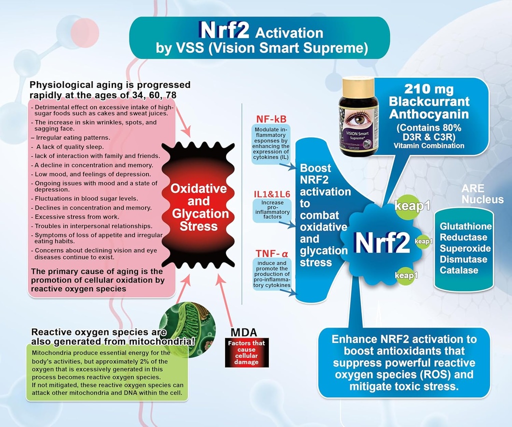 vision-smart-supreme---superior-eye-supp-3.jpg