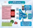 vision-smart-supreme---superior-eye-supp-3.jpg