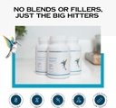 immune-support-zinc-quercetin-vitamin-c--4.jpg
