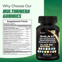the-bundle-of-shilajit-and-sea-moss-sea--5.jpg
