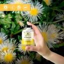 platinum-kannaflow-sceletium-tortuosum-k-4.jpg