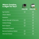 optimum-nutrition-micronized-creatine-mo-5.jpg