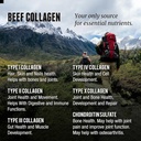 beef-organs-and-collagen-6.jpg