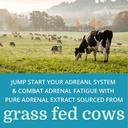 adrenergy-best-process-alkaline-natural--6.jpg