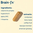 brain-fxTM-b-vitamins-herbs-for-memory-a-4.jpg