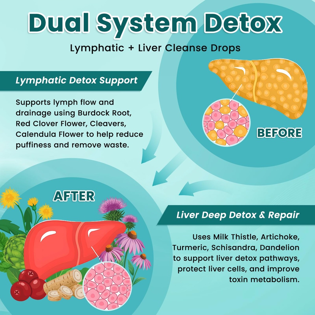 liposomal-lymphatic-drainage-drops-liver-4.jpg