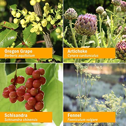 herb-pharm-liver-health-herbal-formula-f-5.jpg