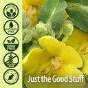 nature-s-answer-mullein-x-kids-throat-sp-5.jpg