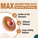 liposomal-brain-supplements-for-memory-a-2.jpg