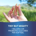 nature-s-way-acidophilus-probiotic-pearl-3.jpg