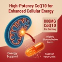 coq10-powerful-antioxidant-supplement-ex-4.jpg