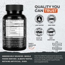 wild-focus-brain-supplements-caffeine-fr-2.jpg