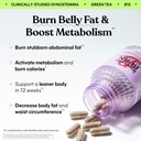 lemme-burn-metabolism-belly-fat-burning--2.jpg
