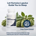 sleep---natural-sleep-aid-supplement---r-3.jpg