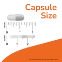 now-supplements-pancreatin-10x-200-mg-wi-3.jpg