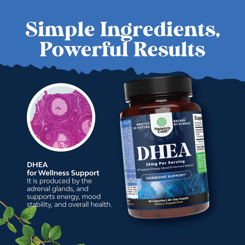 bundle-of-dhea-supplement-for-women-men--6.jpg