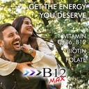 wellgenix-bio-available-sublingual-b12-b-2.jpg