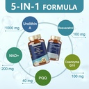 nad-supplement-for-women-men-120-capsule-6.jpg
