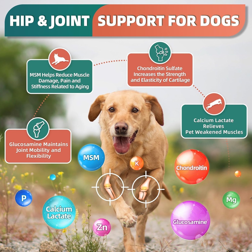 dog-multivitamin-with-glucosamine-omega--2.jpg