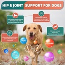 dog-multivitamin-with-glucosamine-omega--2.jpg
