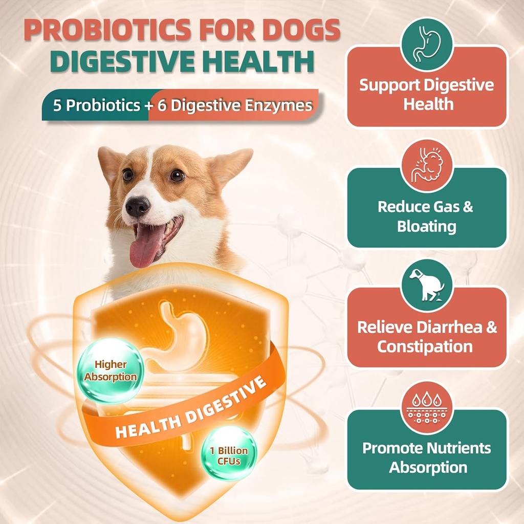 dog-multivitamin-with-glucosamine-omega--3.jpg