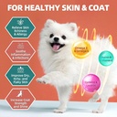 dog-multivitamin-with-glucosamine-omega--4.jpg
