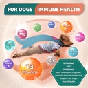 dog-multivitamin-with-glucosamine-omega--6.jpg